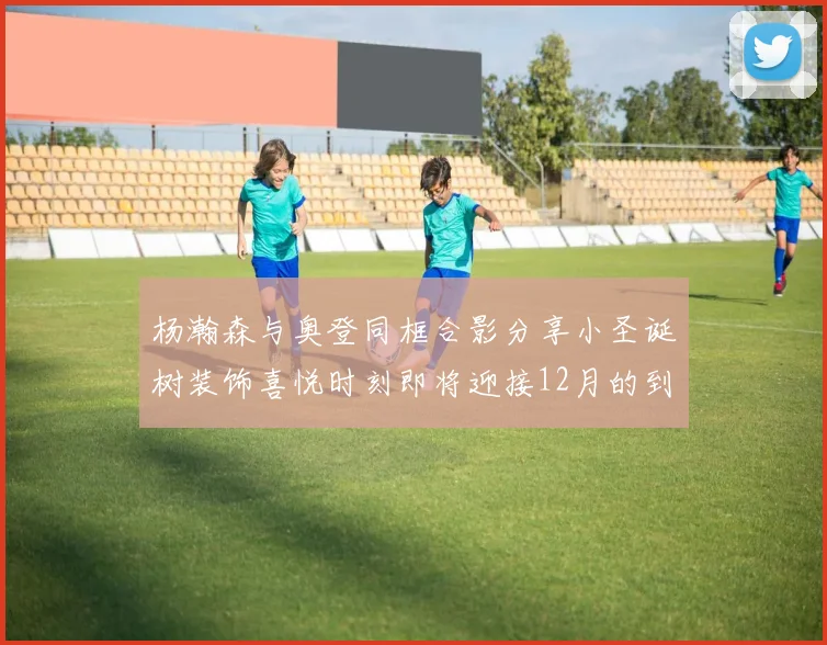 杨瀚森与奥登同框合影分享小圣诞树装饰喜悦时刻即将迎接12月的到来