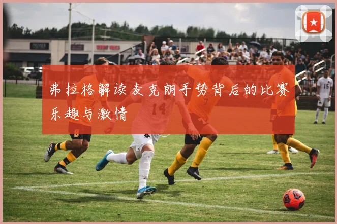 弗拉格解读麦克朗手势背后的比赛乐趣与激情